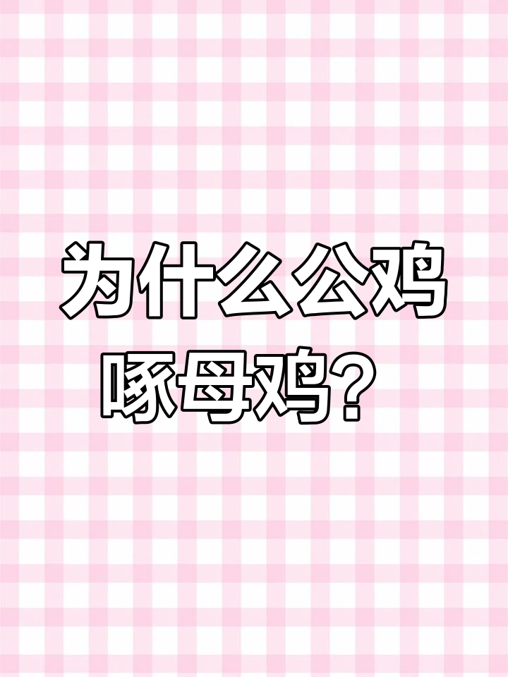 公鸡啄母鸡头,原来是这个原因!
