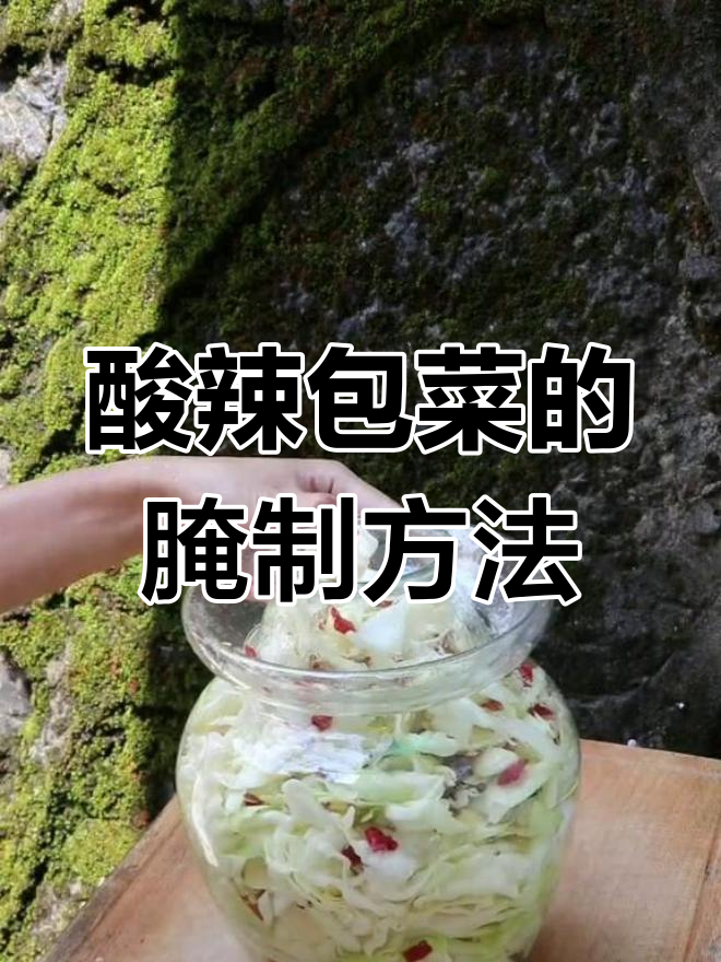 酸辣包菜泡制秘籍,简单步骤教你轻松搞定!