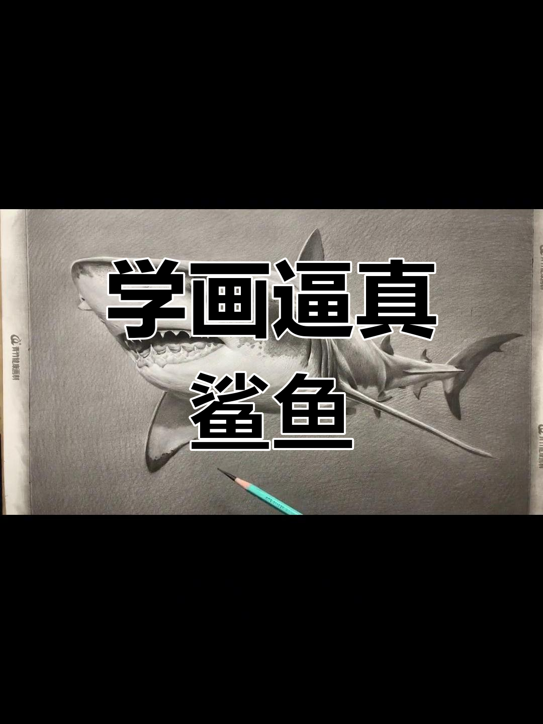 素描鲨鱼技巧大揭秘,轻松掌握精微刻画
