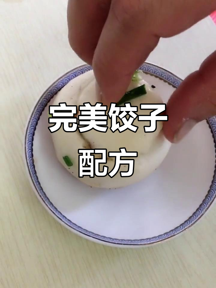 馅料与面皮精准配比,轻松做出美味饺子!