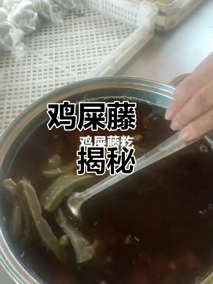 鸡屎藤籺:你绝对没见过的美味小吃