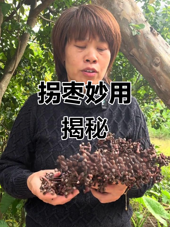 拐枣的神奇功效,竟然能这样用!