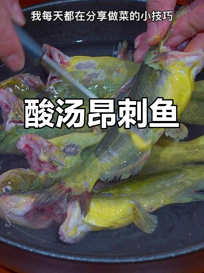 酸汤昂刺鱼,轻松做出美味过瘾的酸爽口感