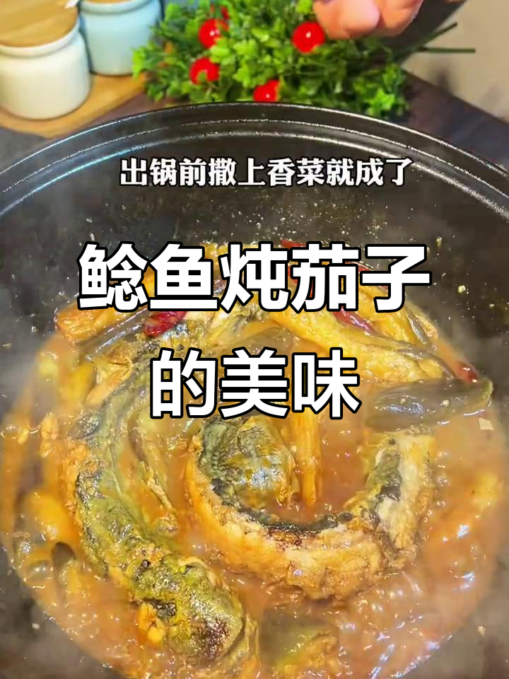 鲶鱼炖茄子,鲜香嫩滑让老爷子吃不停