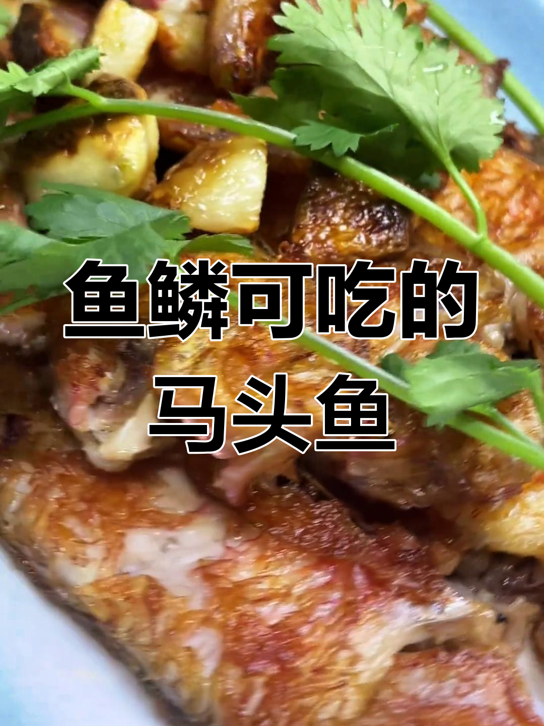 马头鱼鳞也能吃,家常做法大揭秘