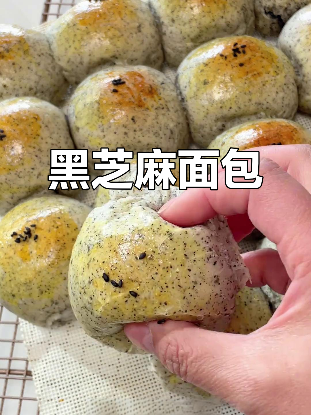 亲手做黑芝麻小餐包,香软可口,健康又美味!