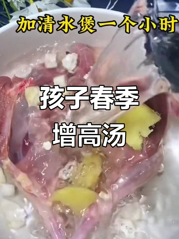 春天孩子长高必备汤,太子参芡实莲子煲汤助成长