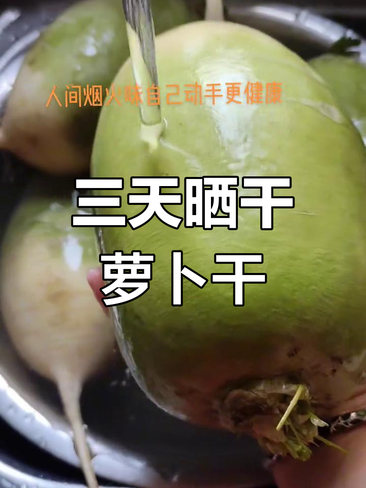 青萝卜晒成脆爽榨菜,三天晾晒过程全纪录