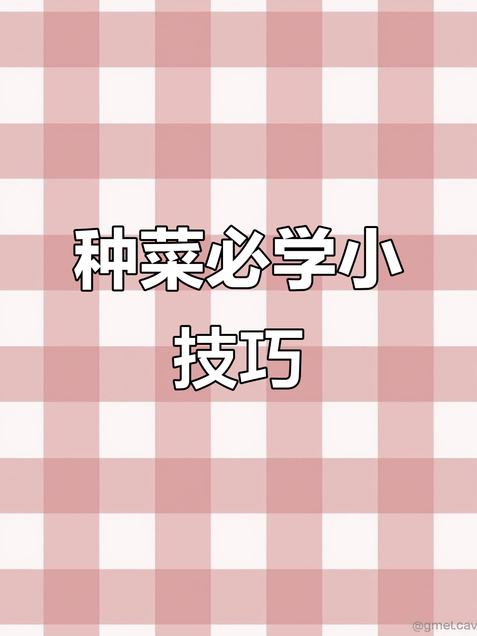 蔬菜大棚种植小妙招，番茄、豆角增产秘诀大公开