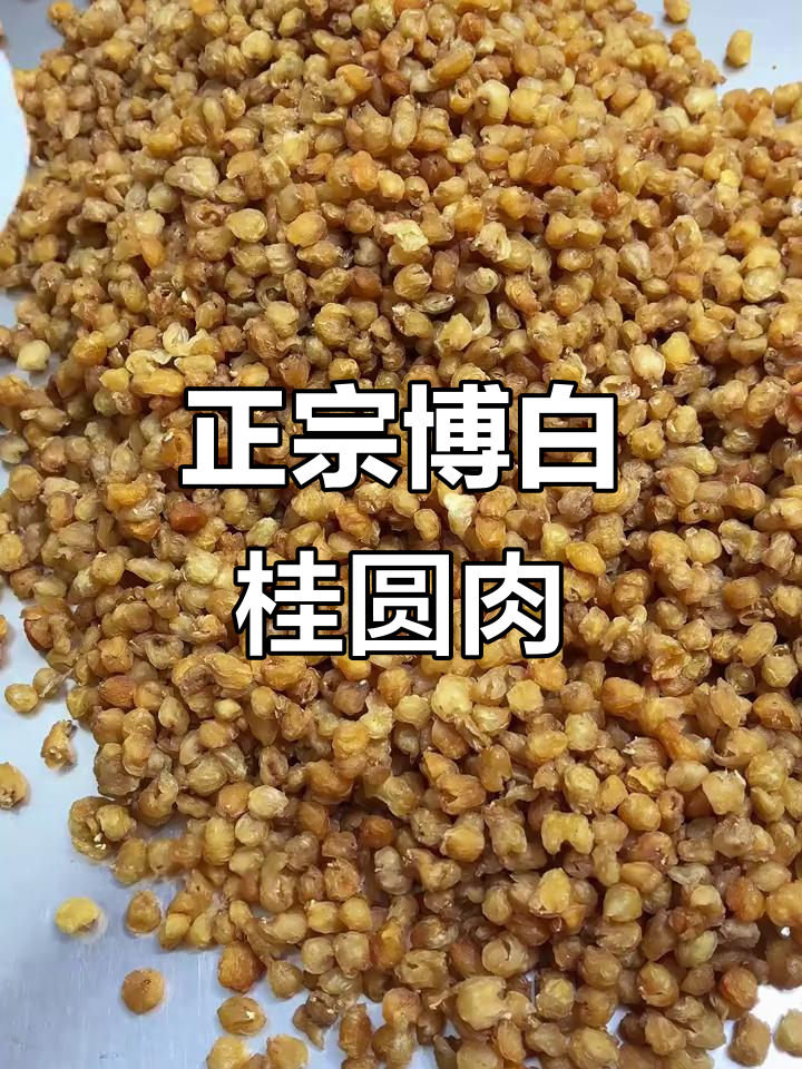 广西博白桂圆肉:无核老树制作,营养丰富口感绝了