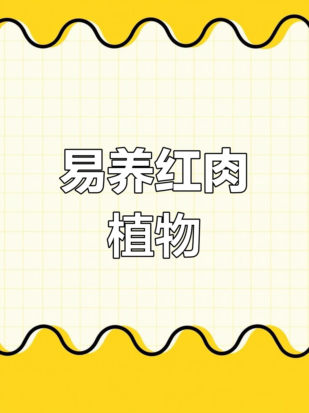 红色系多肉推荐,四季易出状态