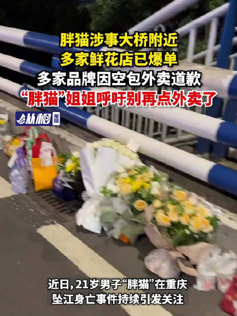 「多家品牌就胖猫事件道歉,“胖猫”姐姐呼吁别再点外卖了」近日,21岁男子“胖猫”在重庆坠江