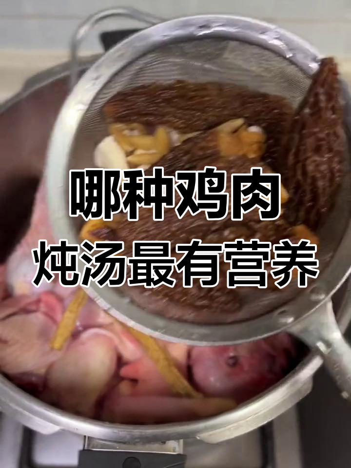 公鸡、母鸡还是乌鸡?炖汤最营养的选择
