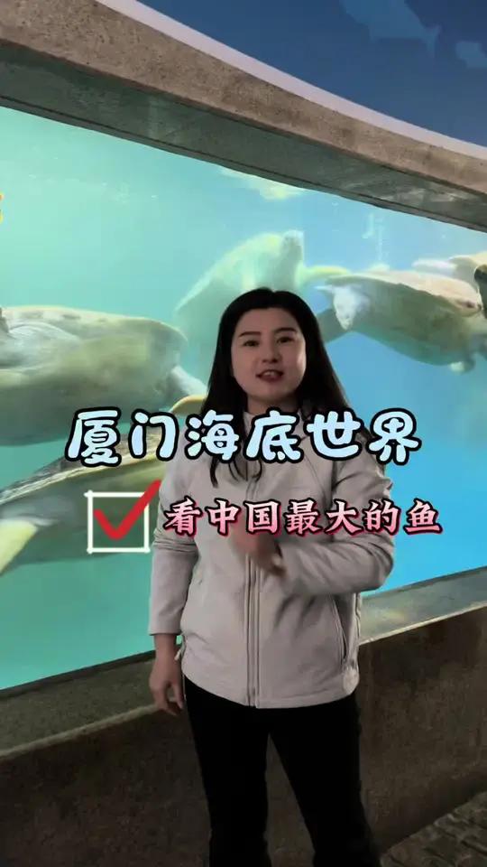 厦门海底世界，这里有一条不一样的鱼，它的粪便比黄金还金贵