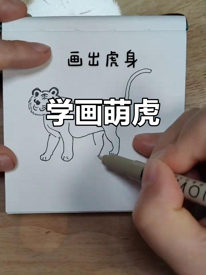 十二生肖之虎简笔画教程,轻松学会画可爱老虎