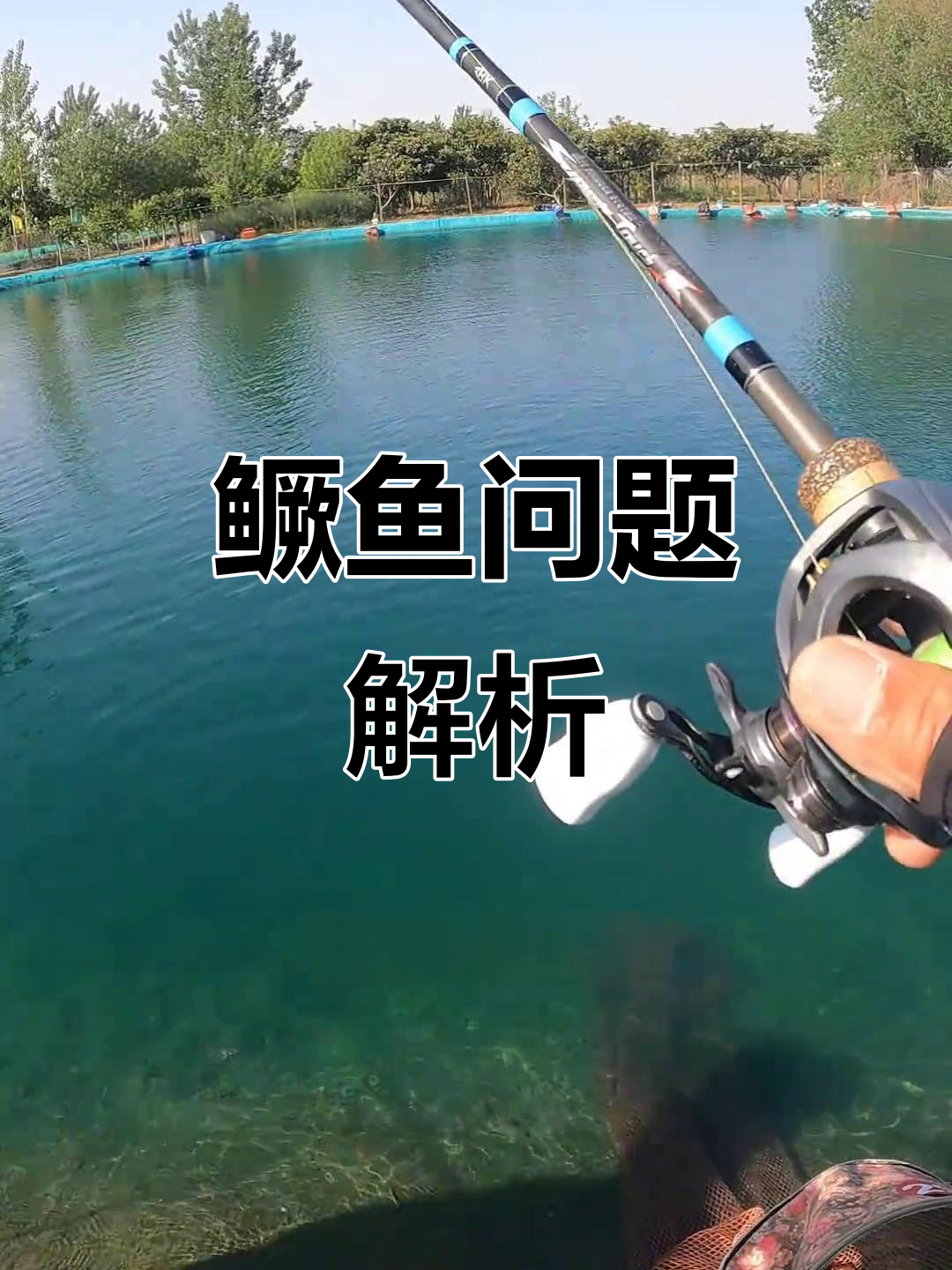二林水质清澈,鳜鱼状况不稳,解决方法视频分享