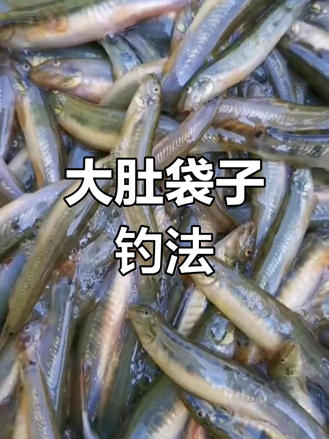 扁担钩子钓鱼技巧