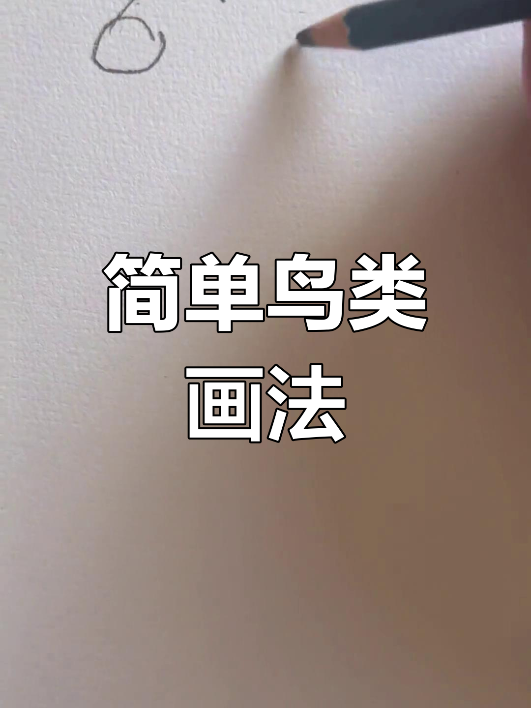 各种鸟类简笔画教程