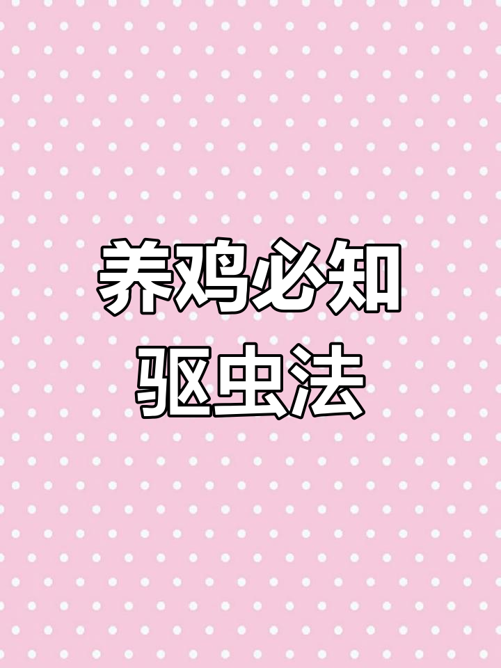云南昭通盐津乌骨鸡:中国十大名鸡之一,高纯度美味珍品