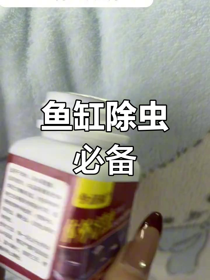 清除鱼缸寄生虫,保护爱宠健康