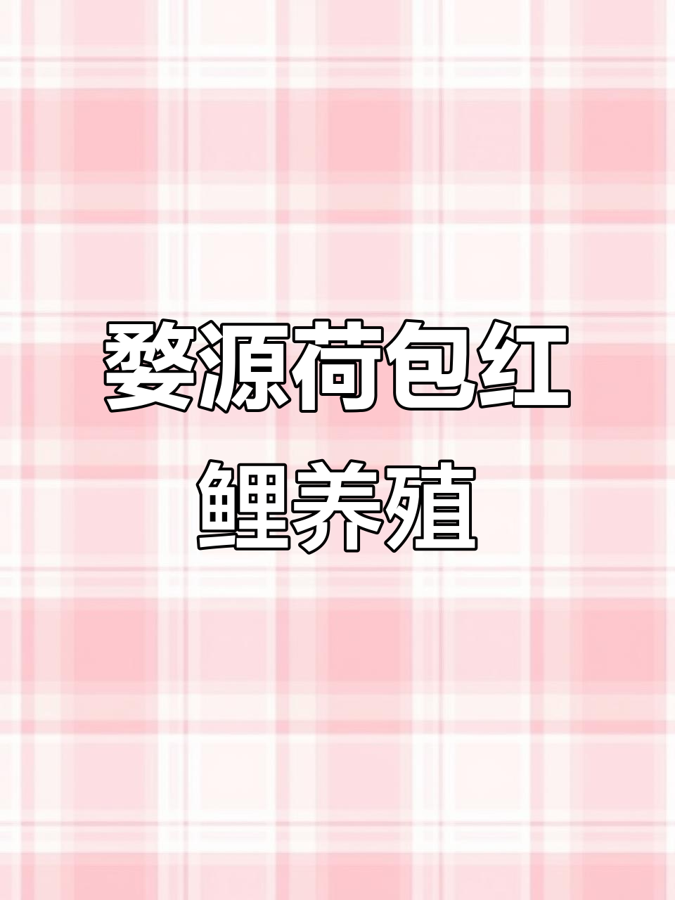 婺源荷包红鲤鱼苗养殖，丰收季节好运连连