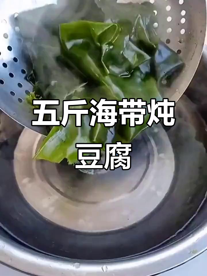 海带豆腐汤，鲜美又简单！五斤新鲜海带送到家