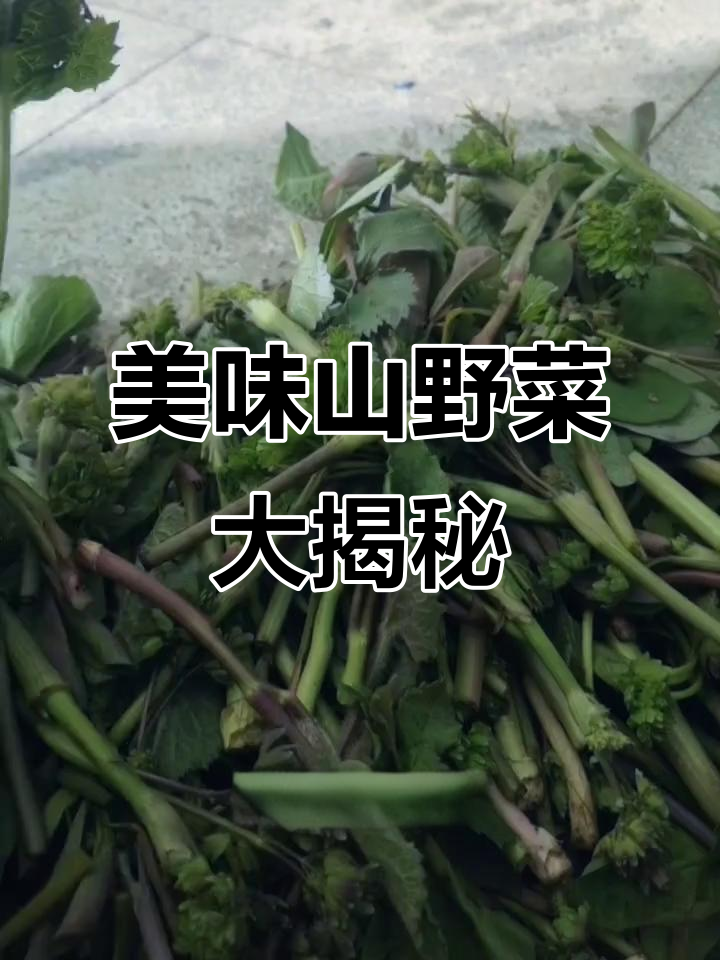 这些山野菜味道超赞,十酸鸟、蕨菜都在其中