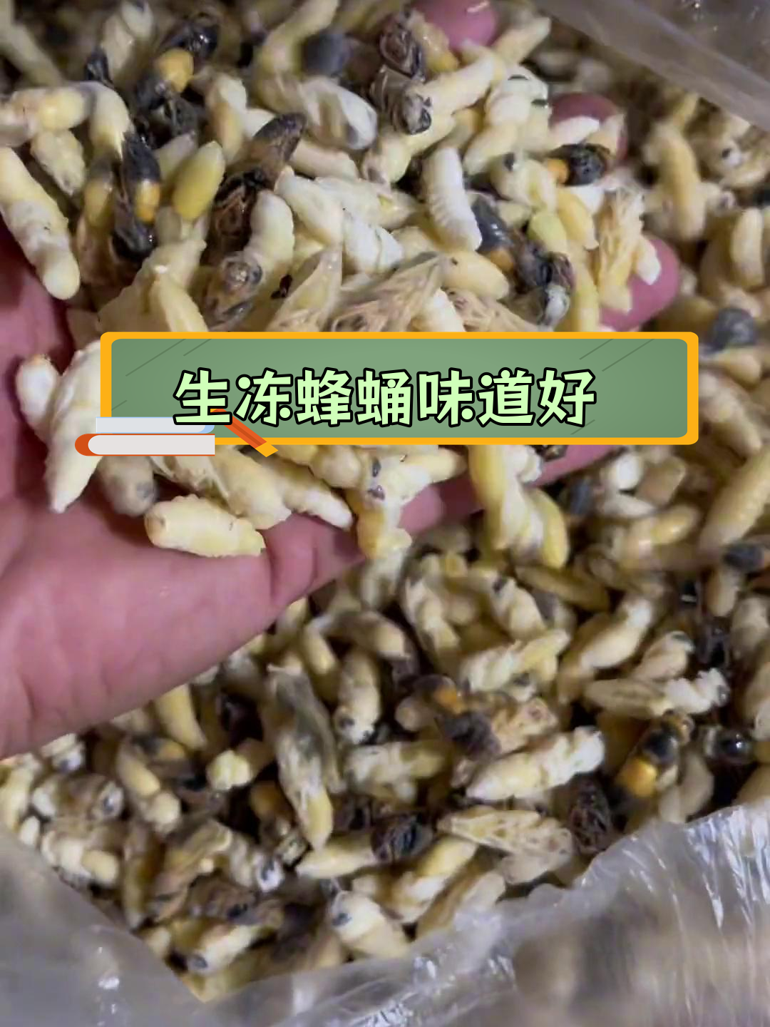 冷冻蜂蛹的正确做法,保持原味