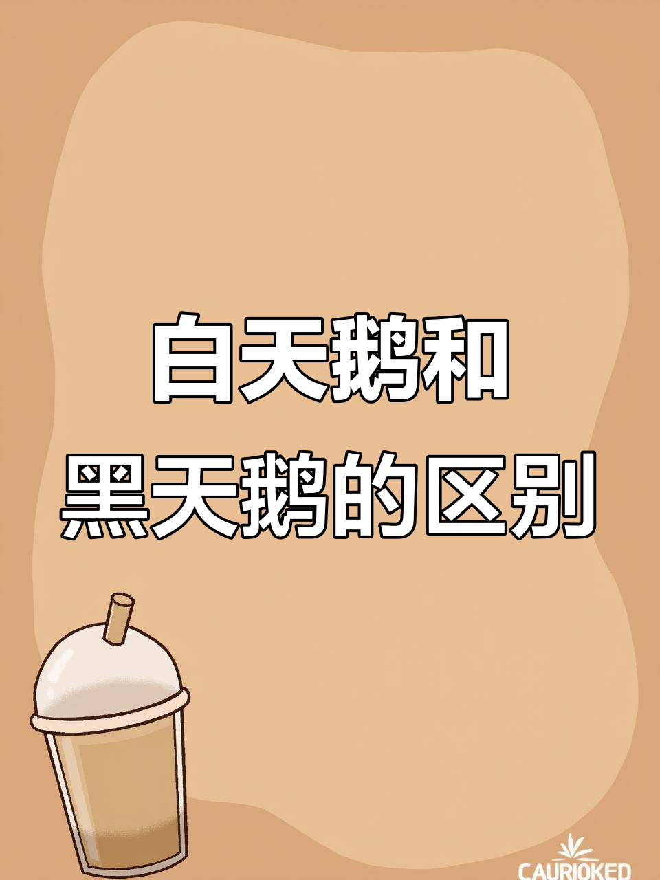 黑天鹅与白天鹅的真相:它们真的是颜色不同吗?