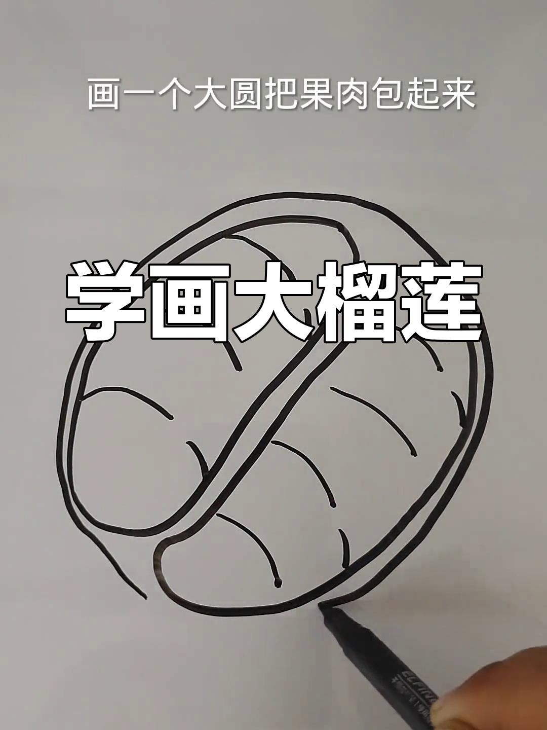画一个饱满榴莲,轻松学简笔画