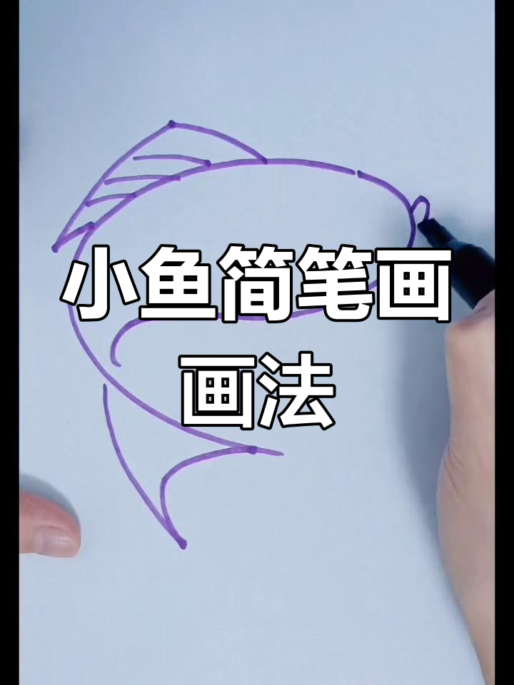 创意小鱼简笔画,轻松学会画贝奇