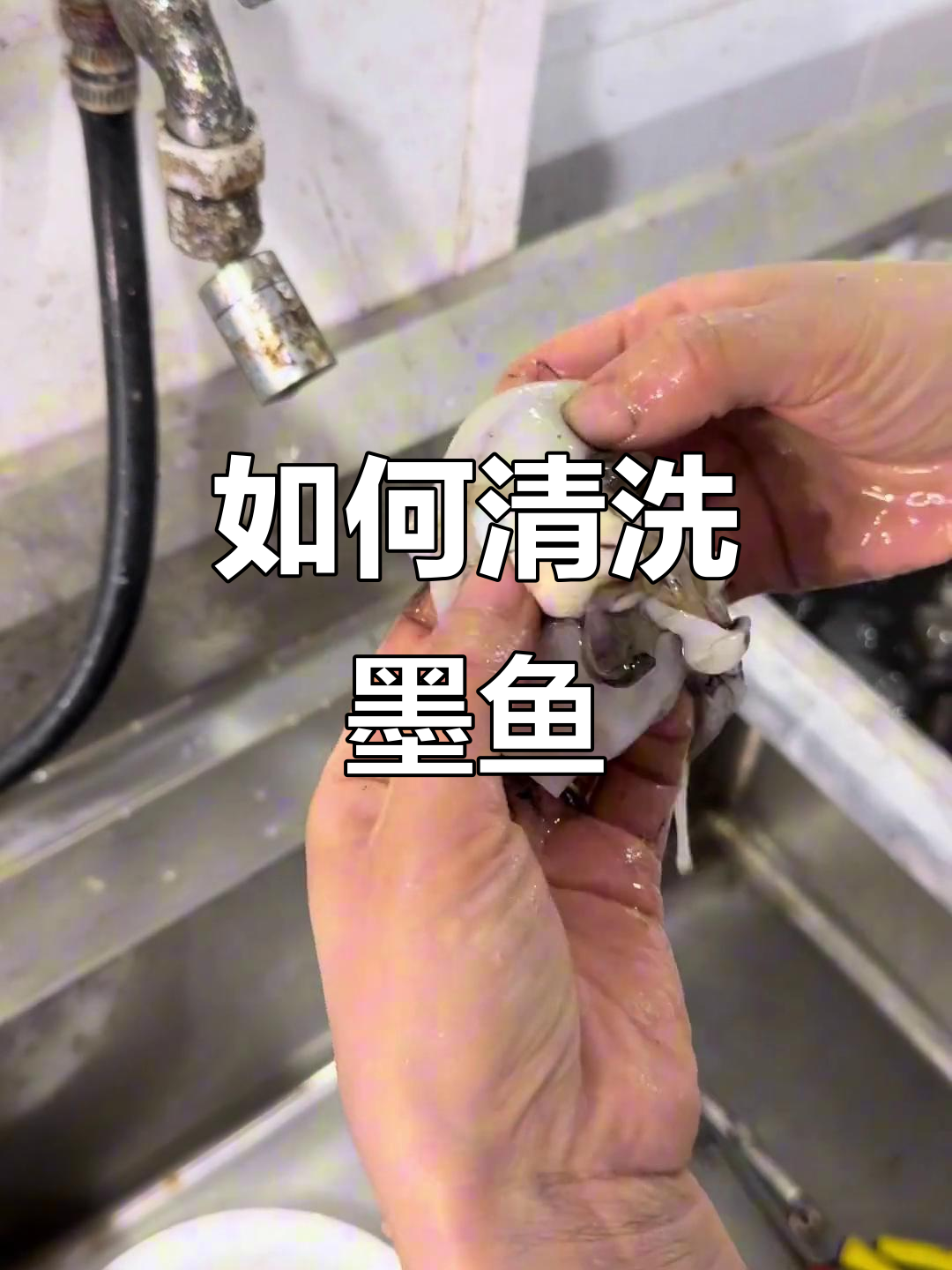 墨鱼清理全攻略,教你轻松去腥