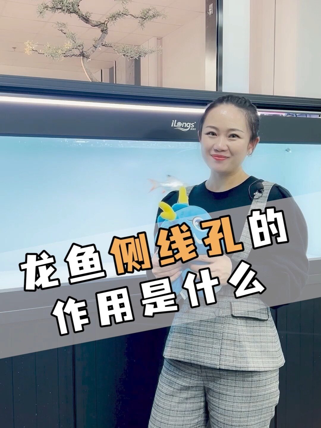 你知道龙鱼身上侧线孔有什么用吗?