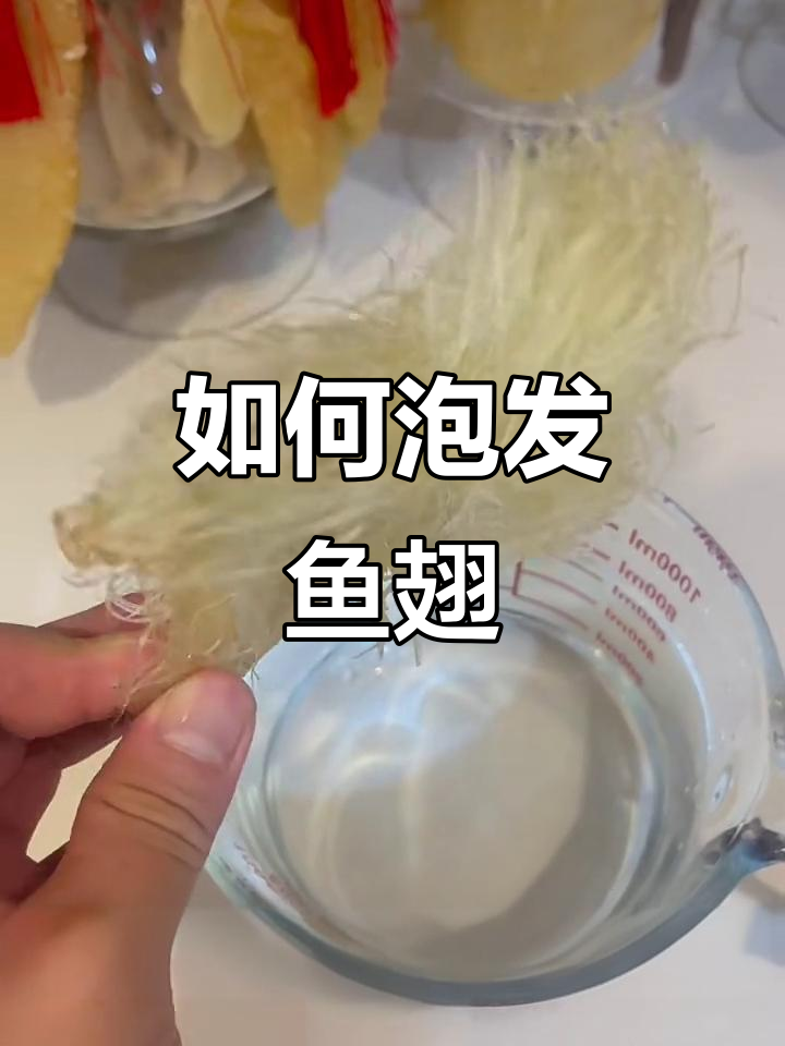 鱼翅泡发技巧大揭秘，轻松搞定美味！
