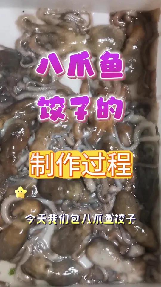 刚刚抓回来八爪鱼,直接剁碎包饺子,味道真的是太鲜美了