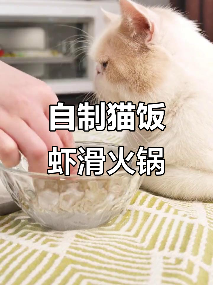 猫咪火锅必备!自制虾滑与胡萝卜搭配,营养又美味