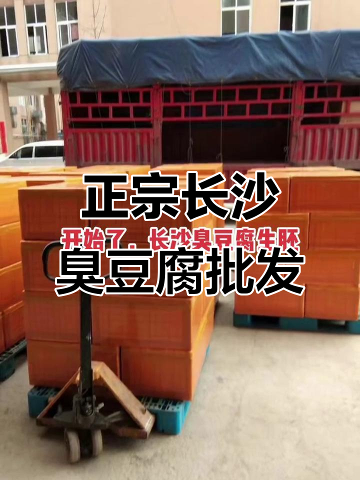 长沙臭豆腐生胚批发,真材实料才能做出地道美味