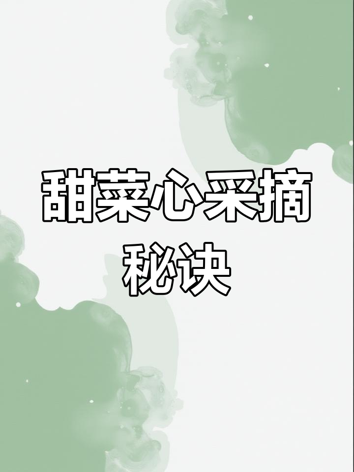 采摘甜菜心时，保留芽点，轻松实现持续丰收！