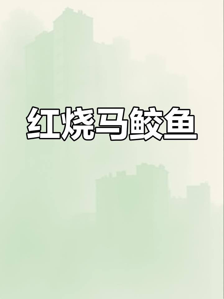 红烧马鲛鱼家常做法,香煎美味轻松学