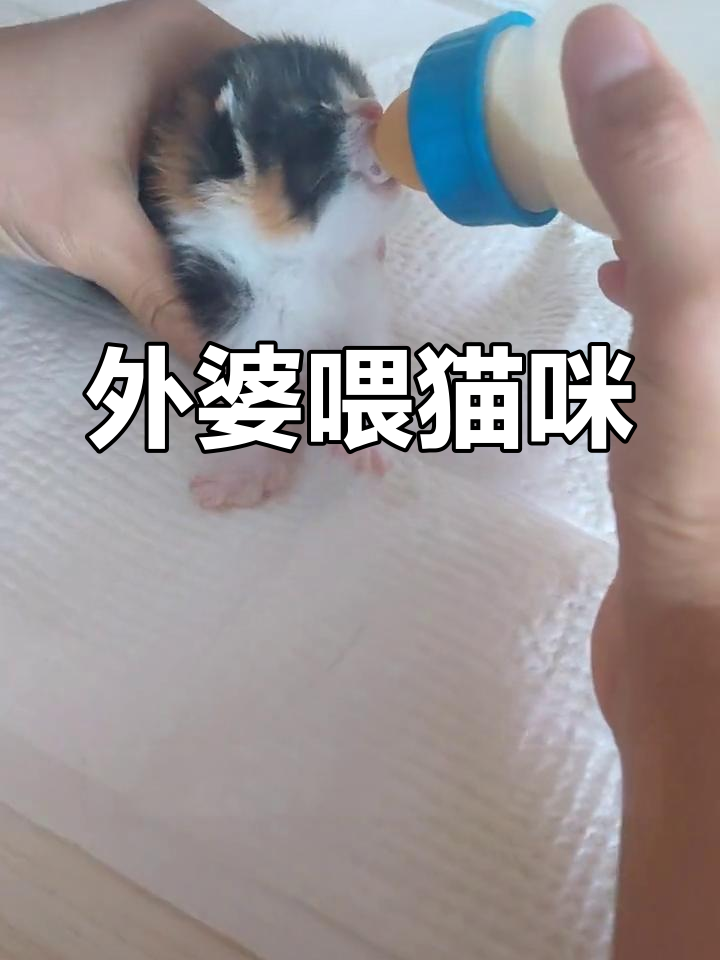 奶瓶仔太可爱,外婆帮忙喂奶