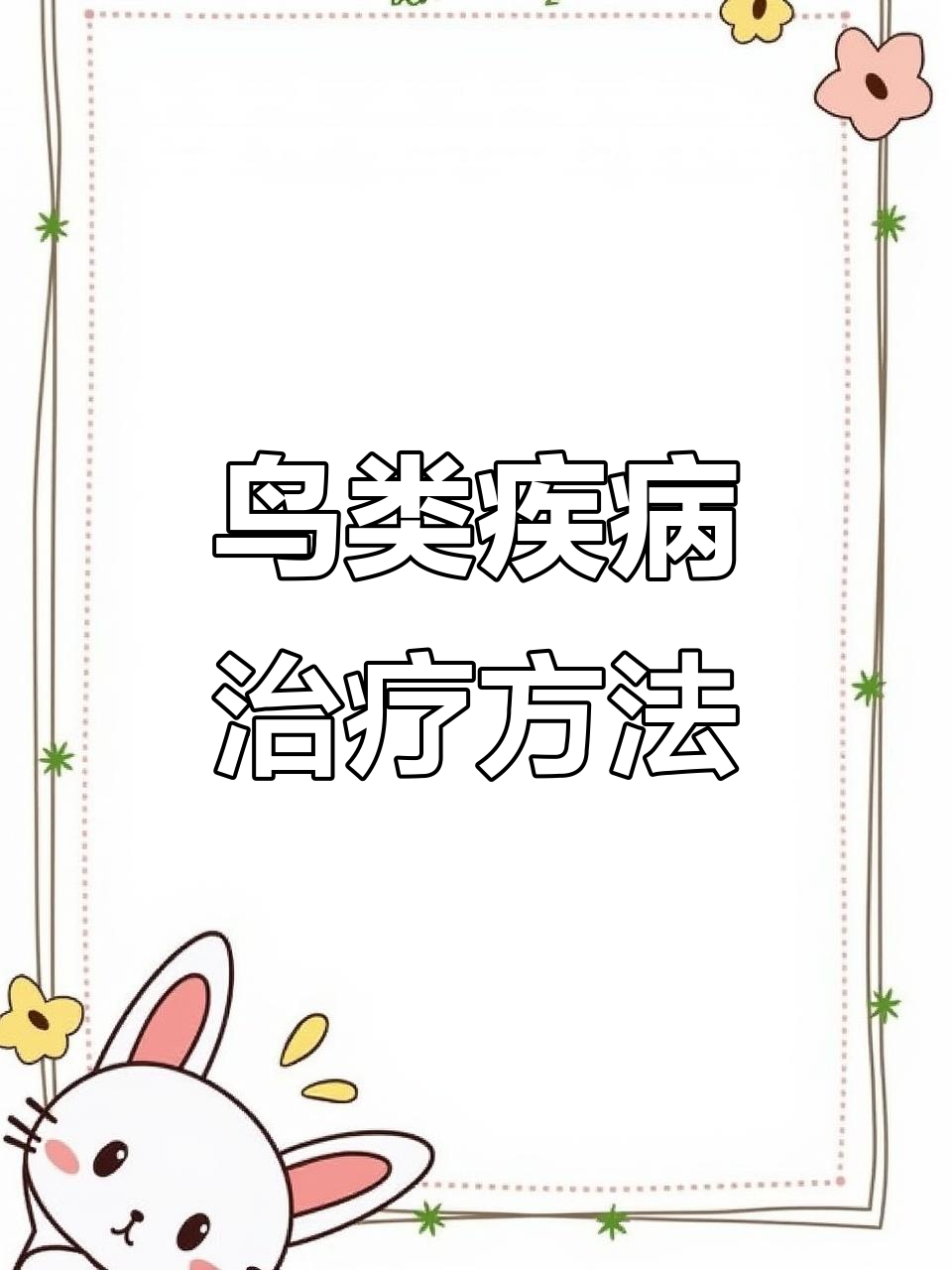小鸟常见疾病治疗全攻略,阿莫西林搭配这些药物效果更佳