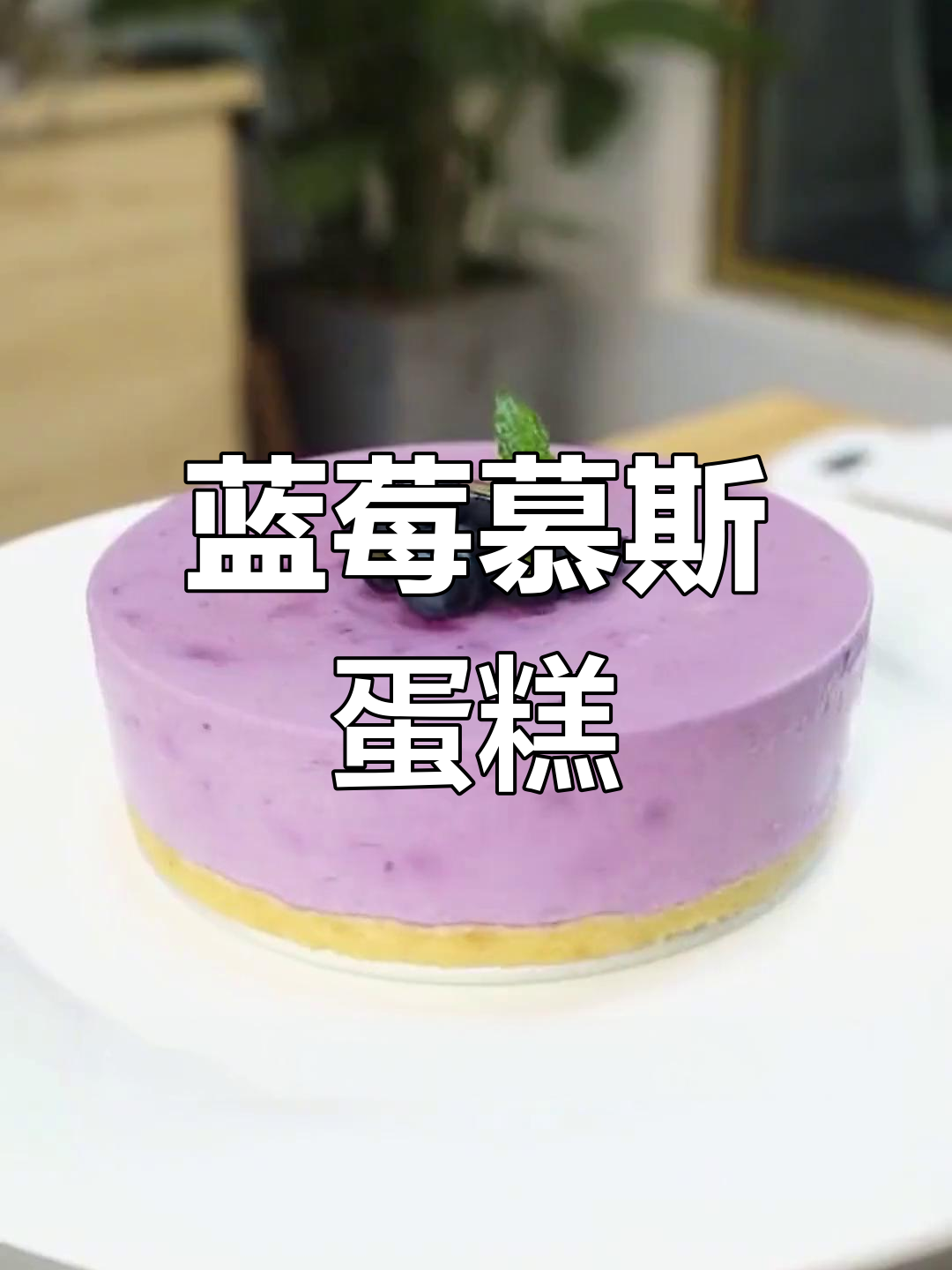 蓝莓慕斯蛋糕,清新又美味