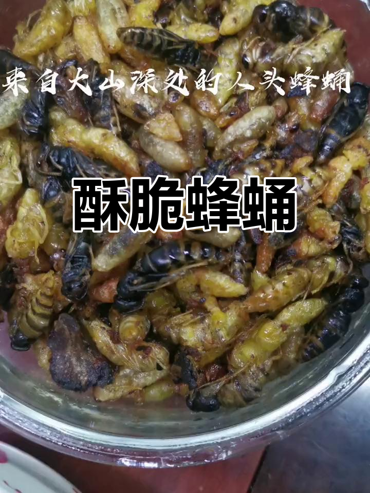 大山深处的蜂蛹美味,药用价值高