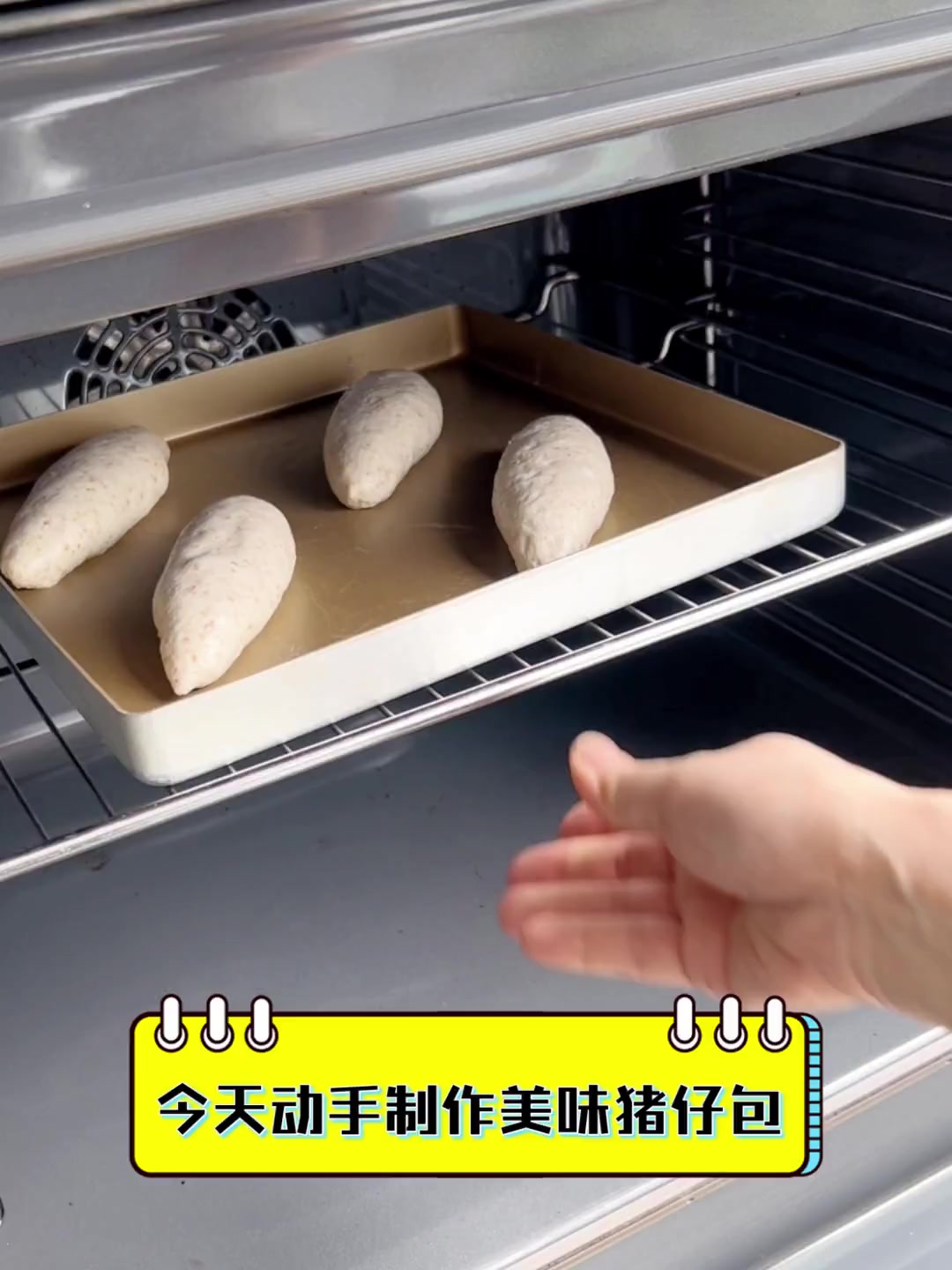 今天动手制作美味猪仔包