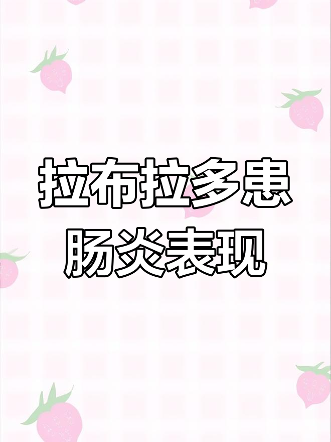 拉布拉多肠胃炎的四大症状