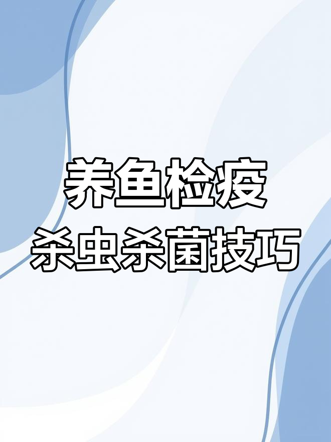鱼缸寄生虫爆发?教你快速杀虫杀菌,恢复健康