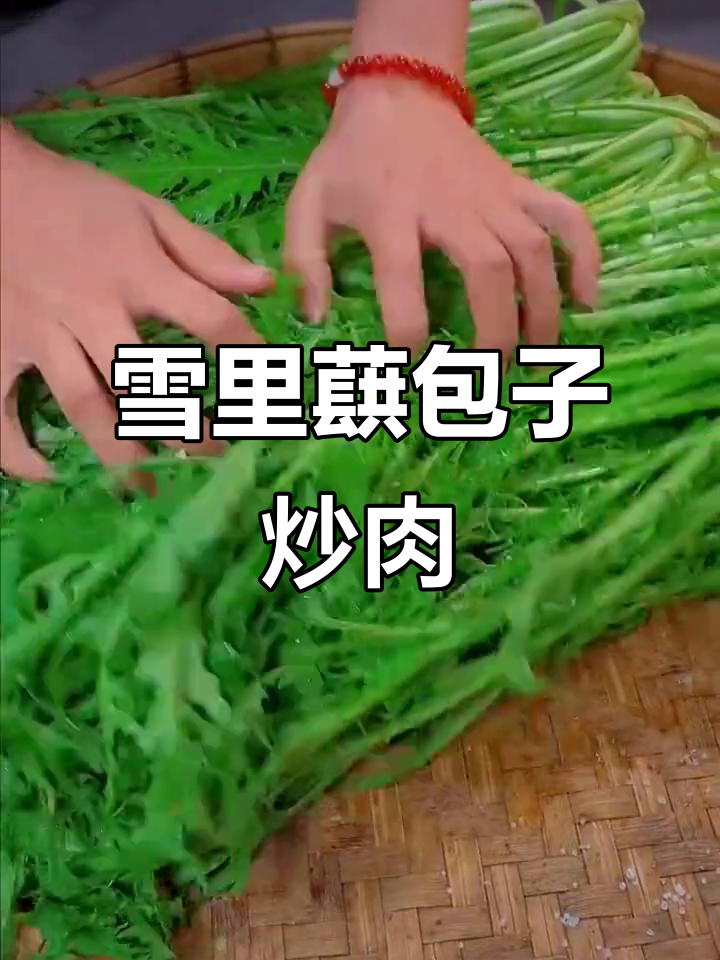 雪里蕻腌菜包包子，炒肉末超下饭！