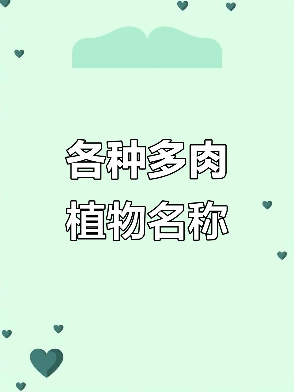 多肉植物品种大揭秘:酸橙辣椒、紫蝶等超美彩品