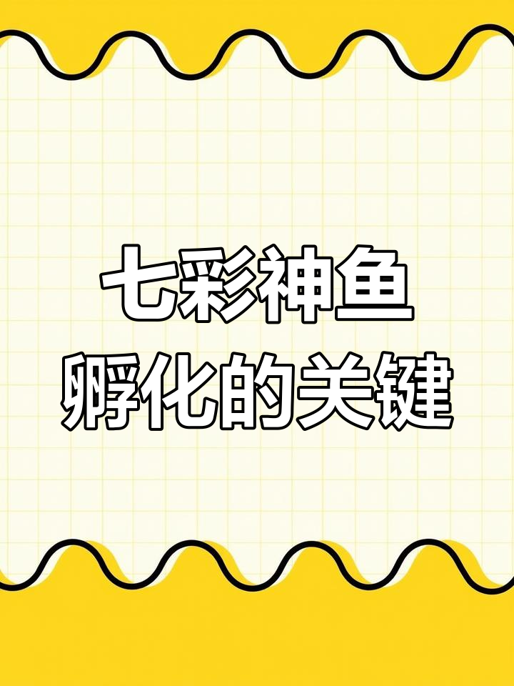 七彩神仙鱼卵孵化时机,如何正确提罐?