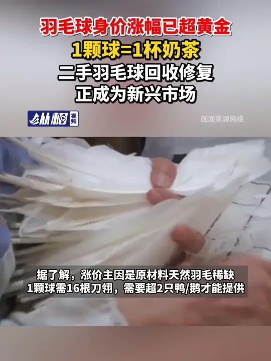 羽毛球身价涨幅已超黄金,1颗球=1杯奶茶,二手羽毛球回收修复正成为新兴市场
